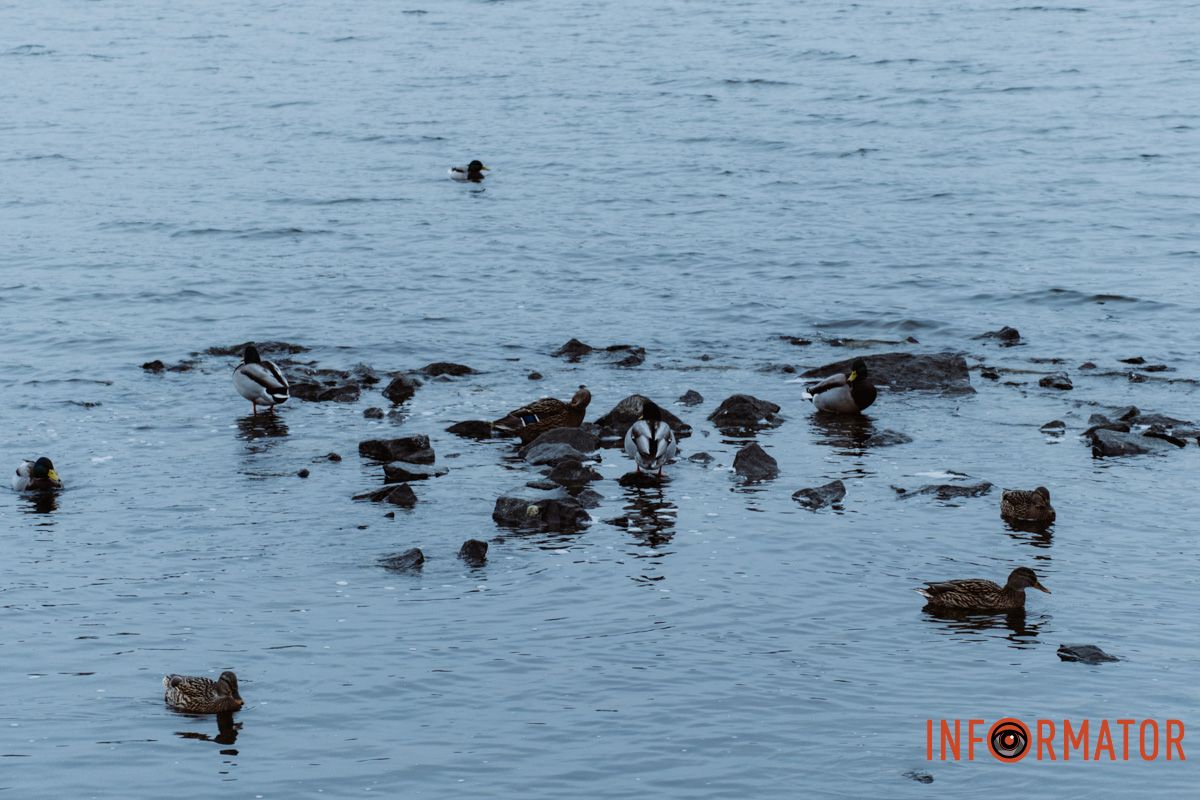 Місто, що сховалось: як туман змінив знайомі краєвиди Дніпра 5