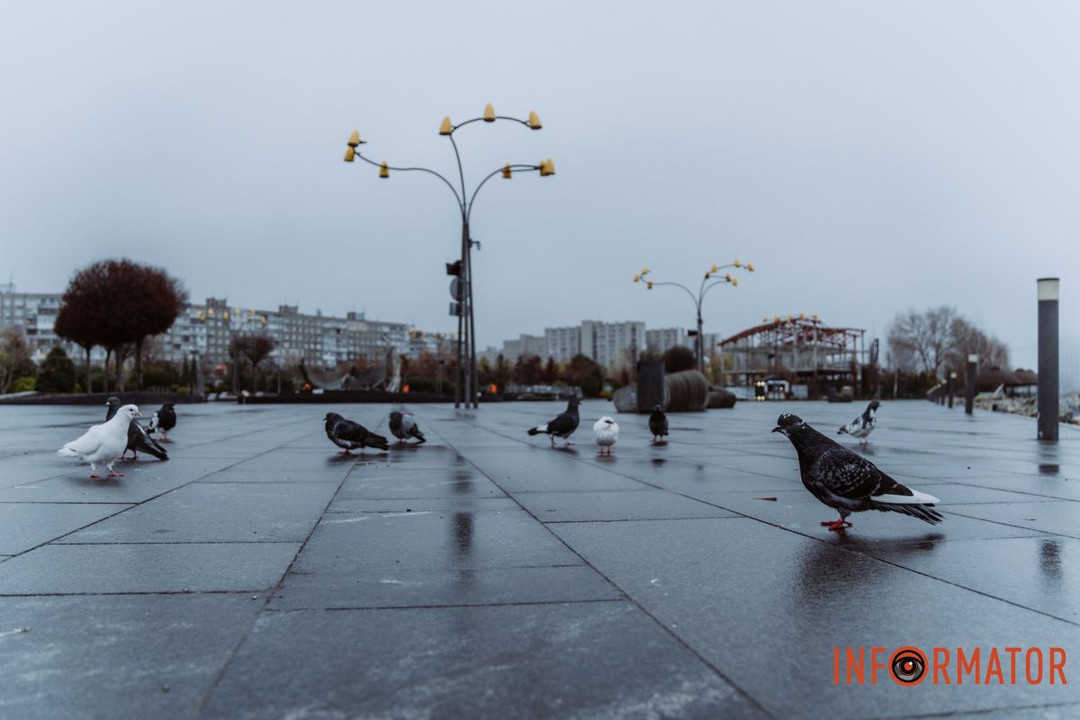 Місто, що сховалось: як туман змінив знайомі краєвиди Дніпра 22