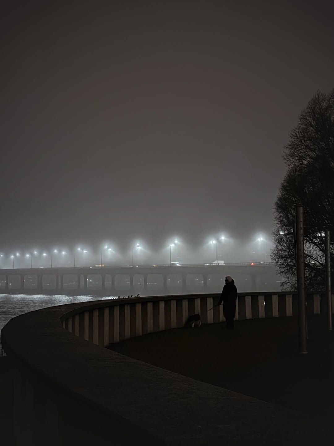 Фото: @borodinauliia