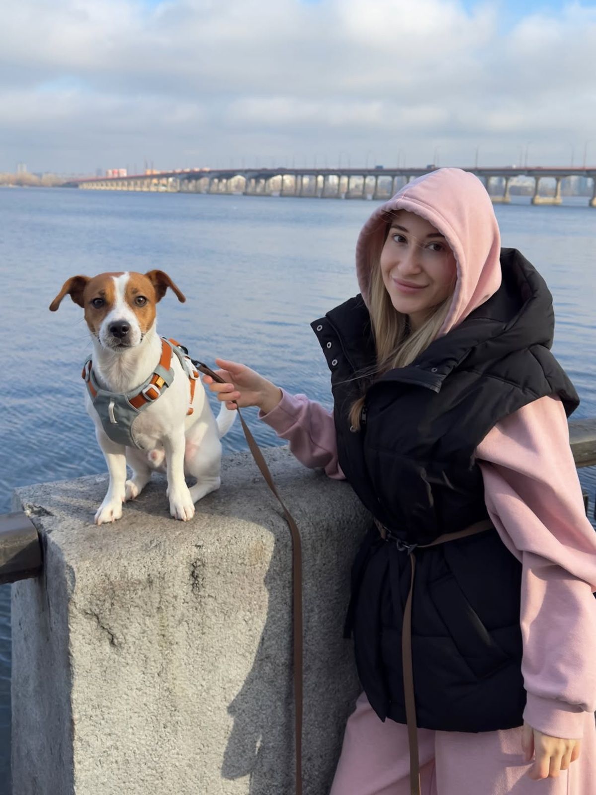 Фото: @thor_jackrussell__