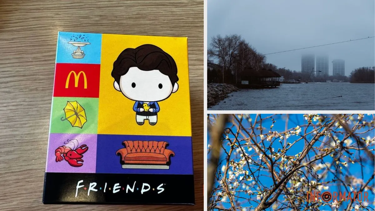 Friends Menu від McDonald’s, цвітіння сакур в листопаді та атмосферні фото: топ добрих новин тижня