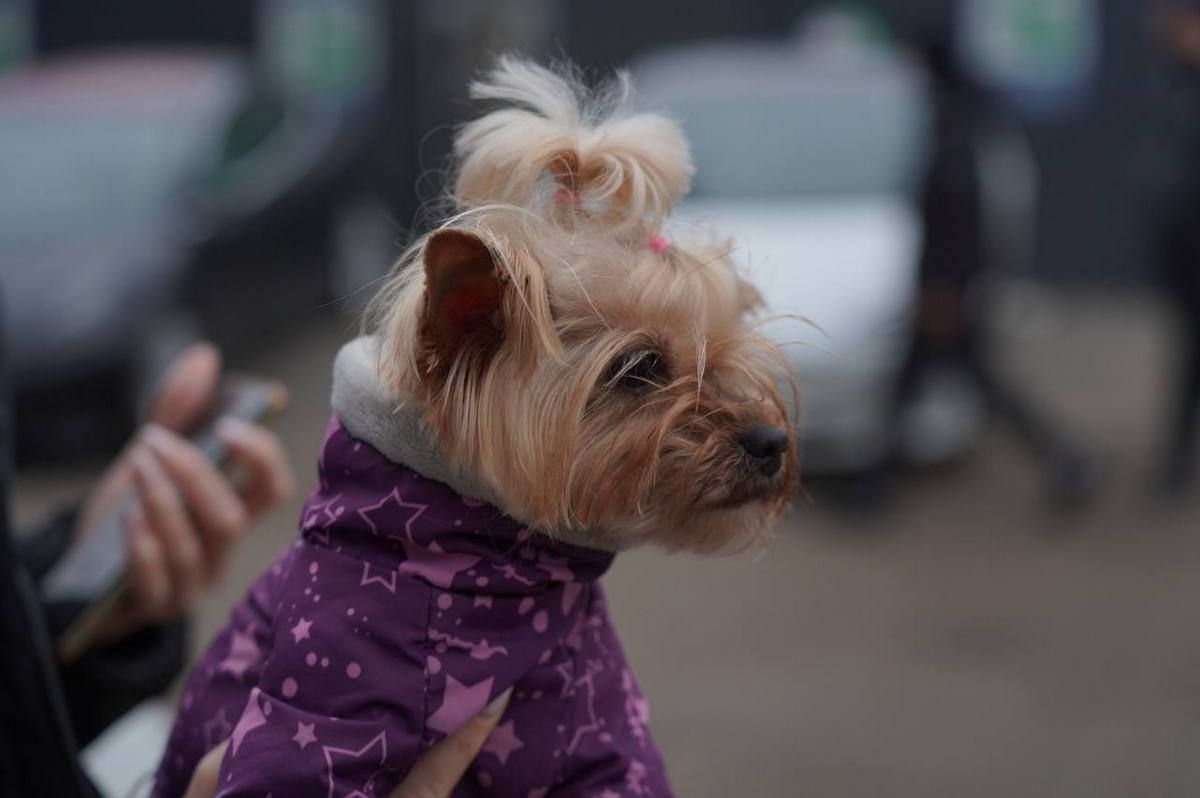 Голова Дніпропетровської обласної ради Микола Лукашук опублікував фото з місця удару