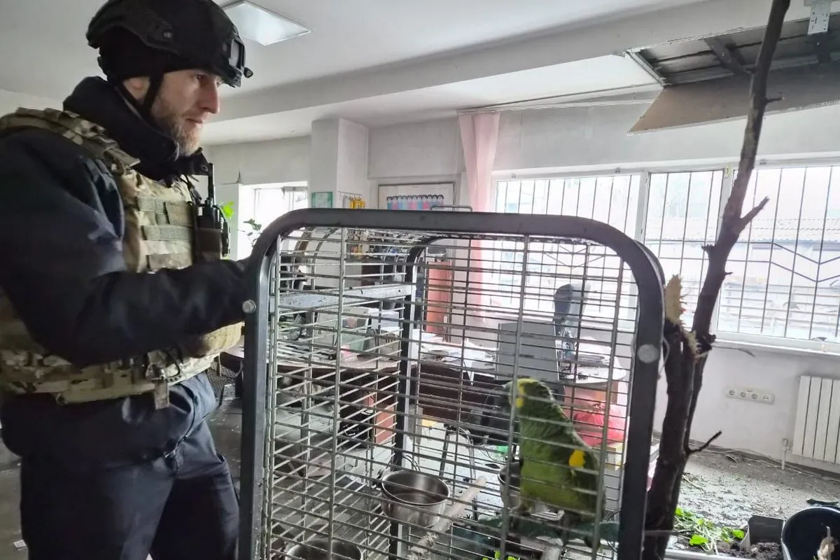 Було пошкоджене офісне приміщення Ракетний удар по Дніпру: як виглядає пошкоджений офіс, в якому загинула жінка 2