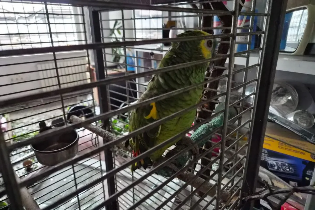 Тваринам теж страшно Ракетний удар по Дніпру: як виглядає пошкоджений офіс, в якому загинула жінка 6