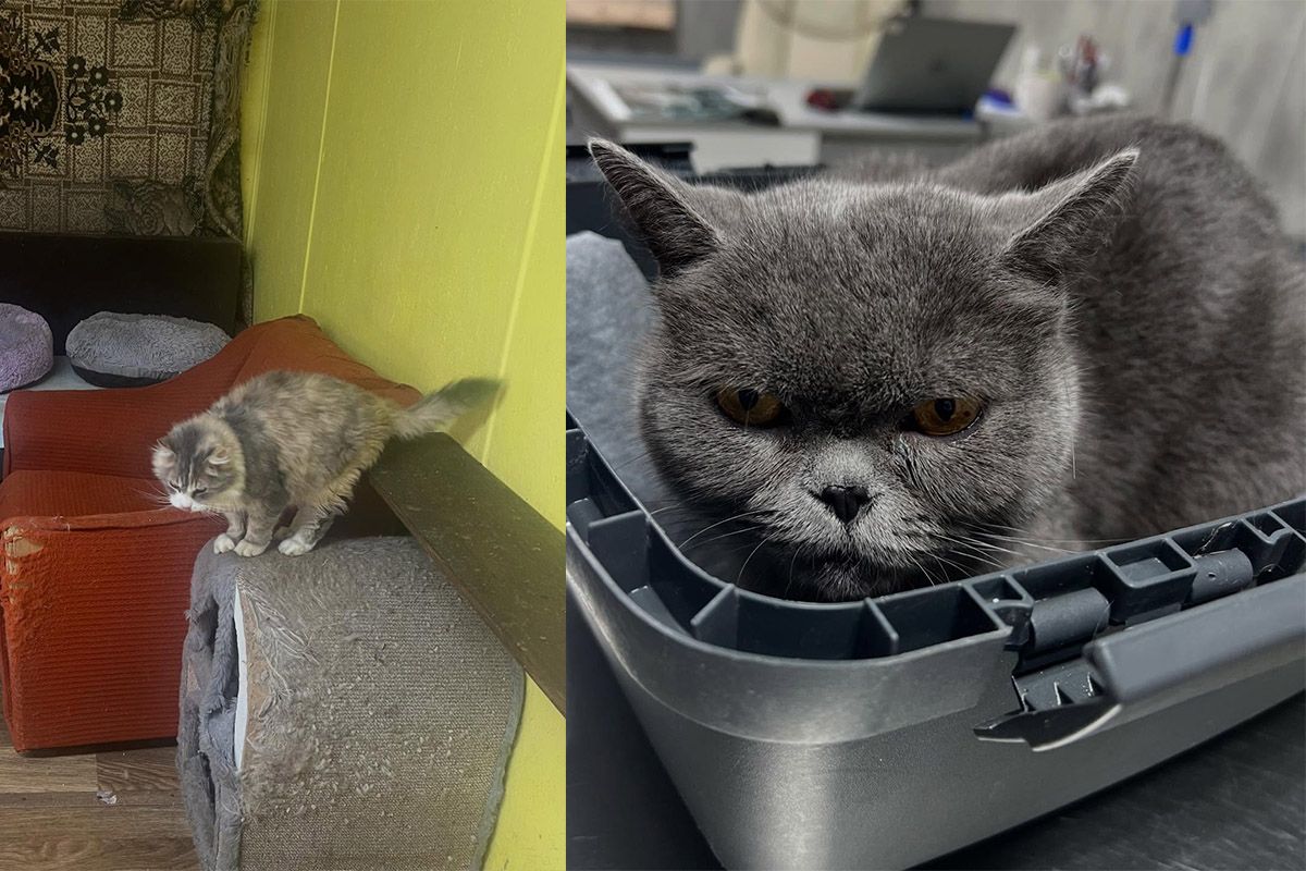 Можливо, вони чекають саме на вас Можливо, вони чекають саме на вас