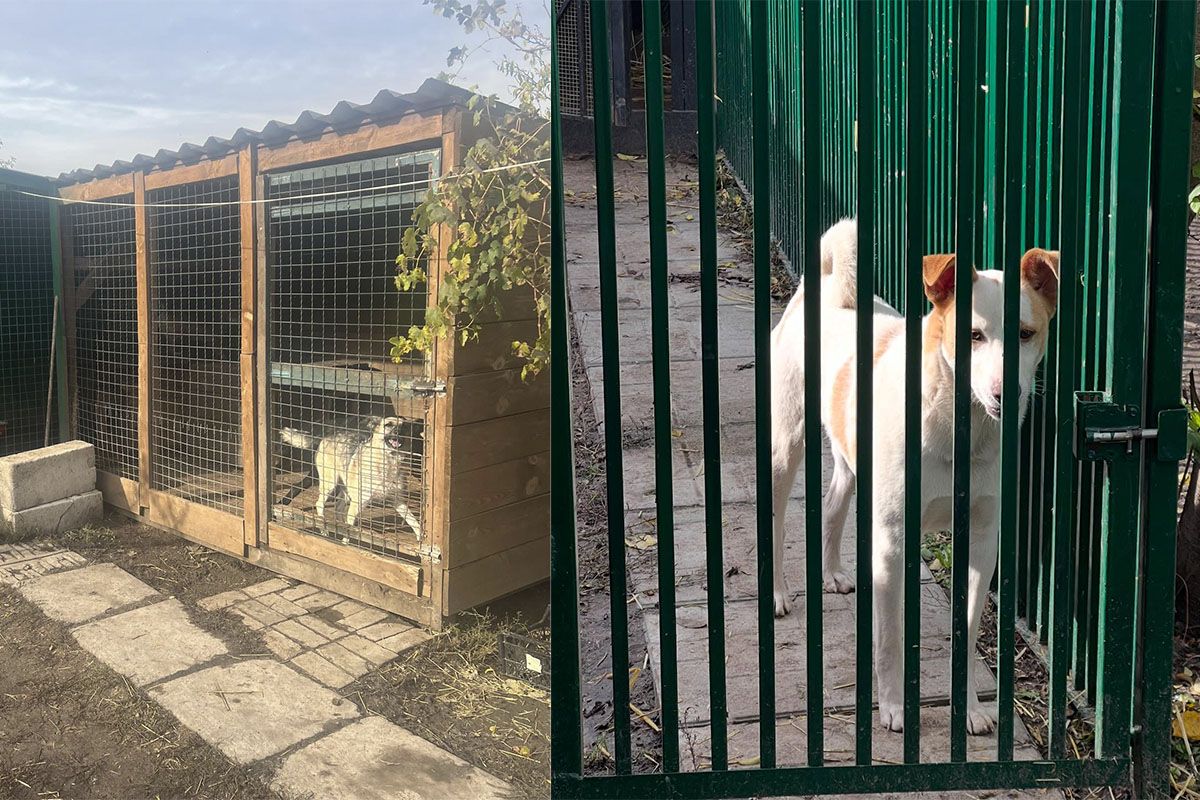 Допомагайте так, як зручно вам Допомагайте так, як зручно вам