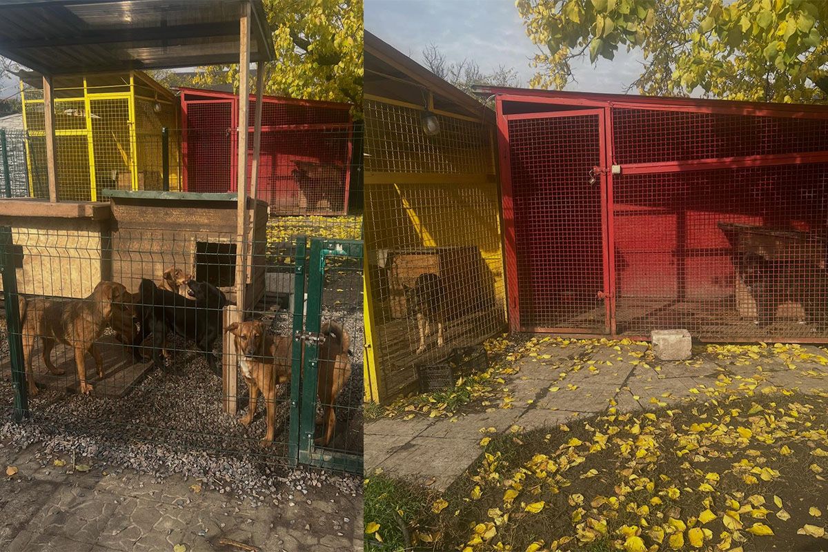 Дніпровський мініпритулок "Промінчик надії" Дніпровський мініпритулок "Промінчик надії"