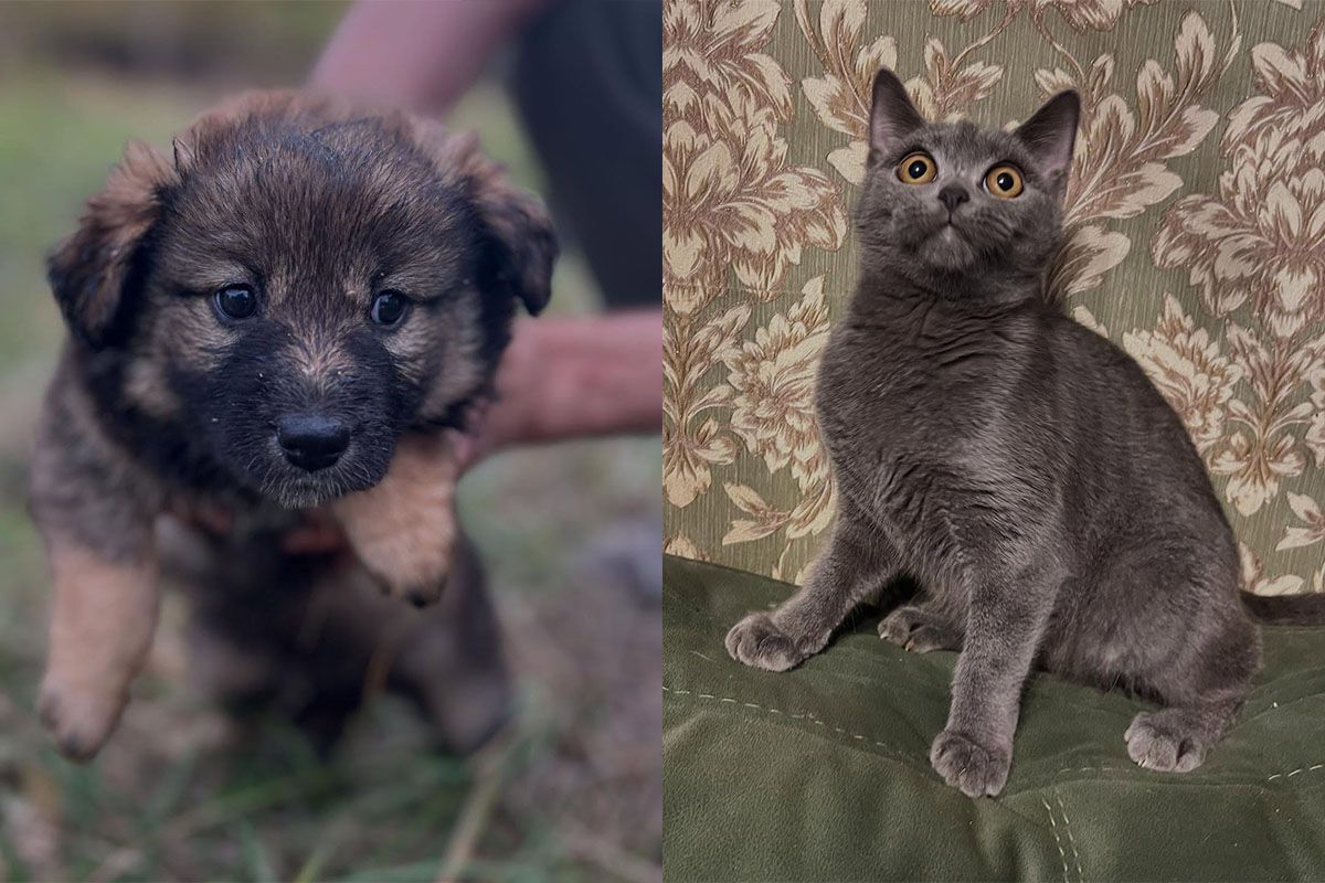 У пошуках своїх людей У пошуках своїх людей