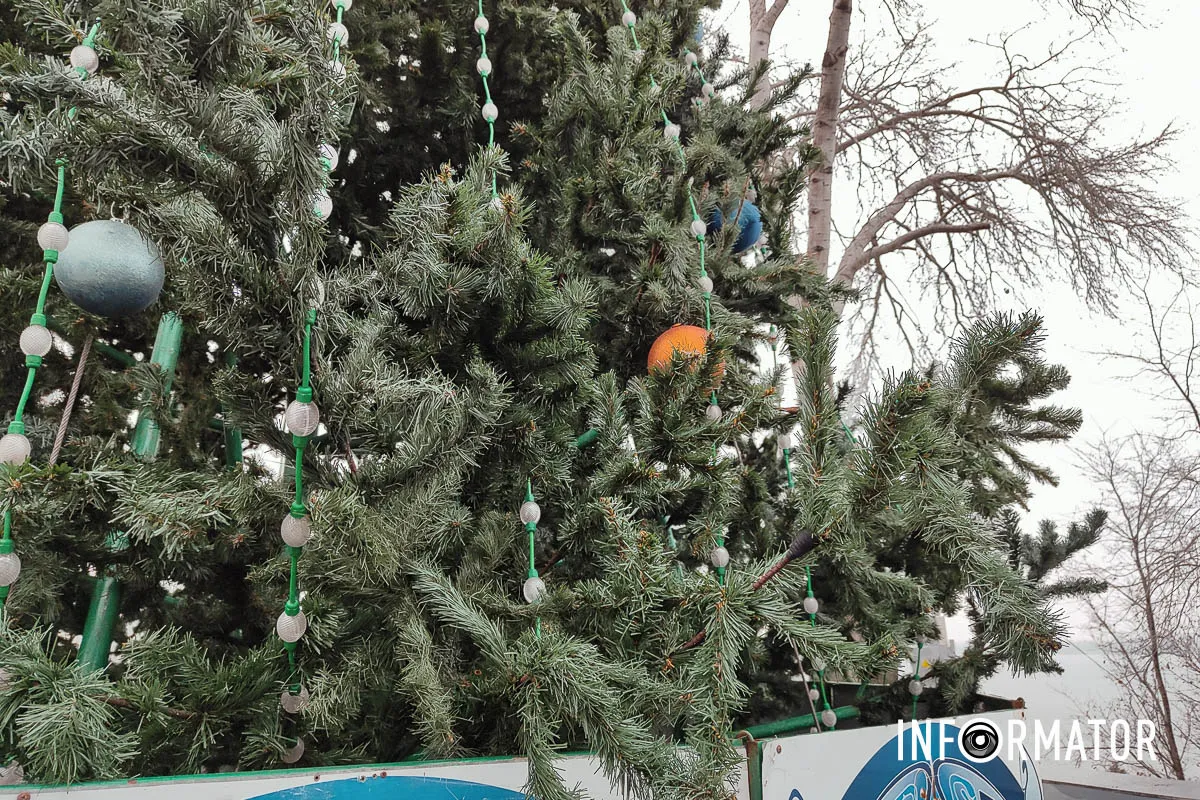 У Дніпрі в парку Шевченка встановили та прикрасили новорічну ялинку 10