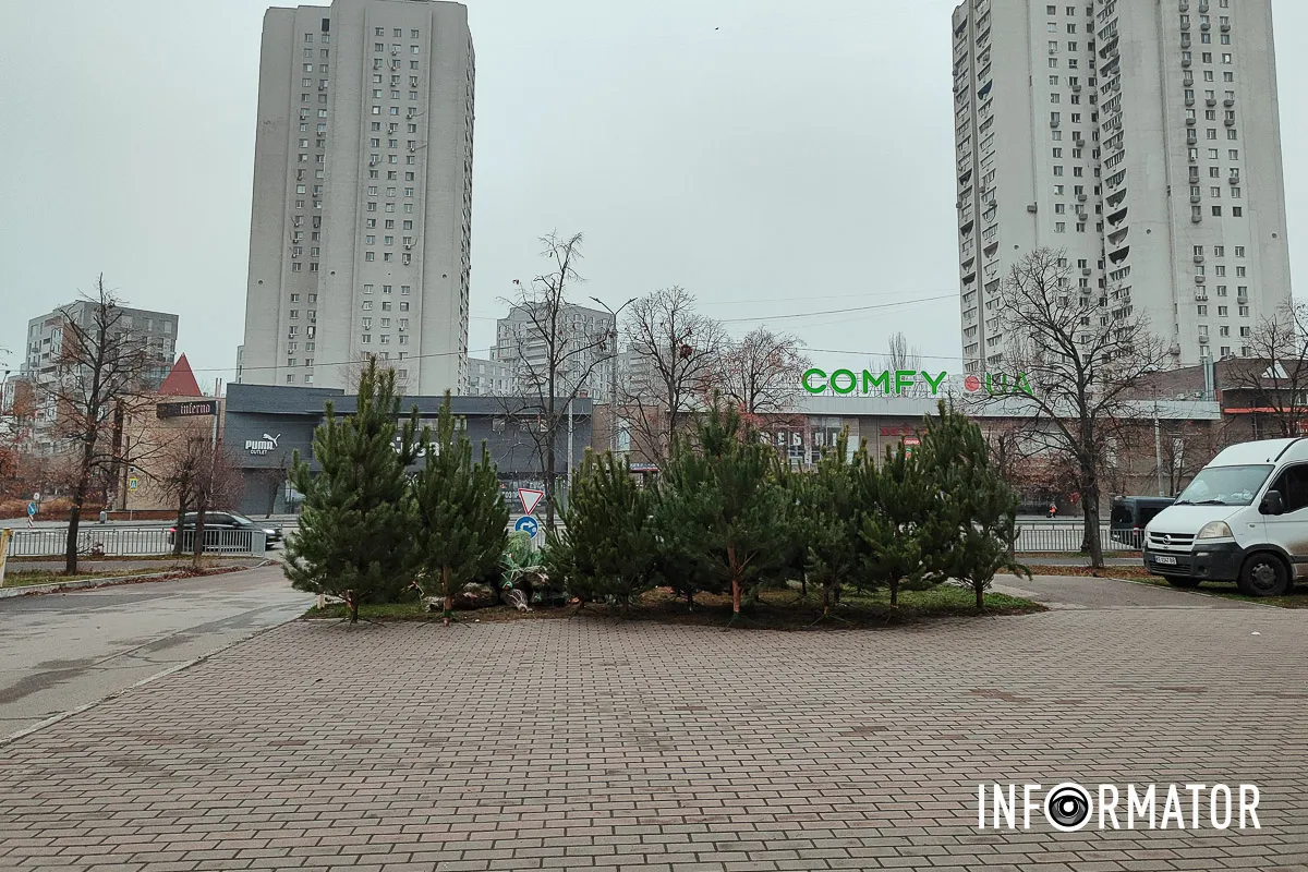 Стоит одно дерево от 400 гривен Стоит одно дерево от 400 гривен