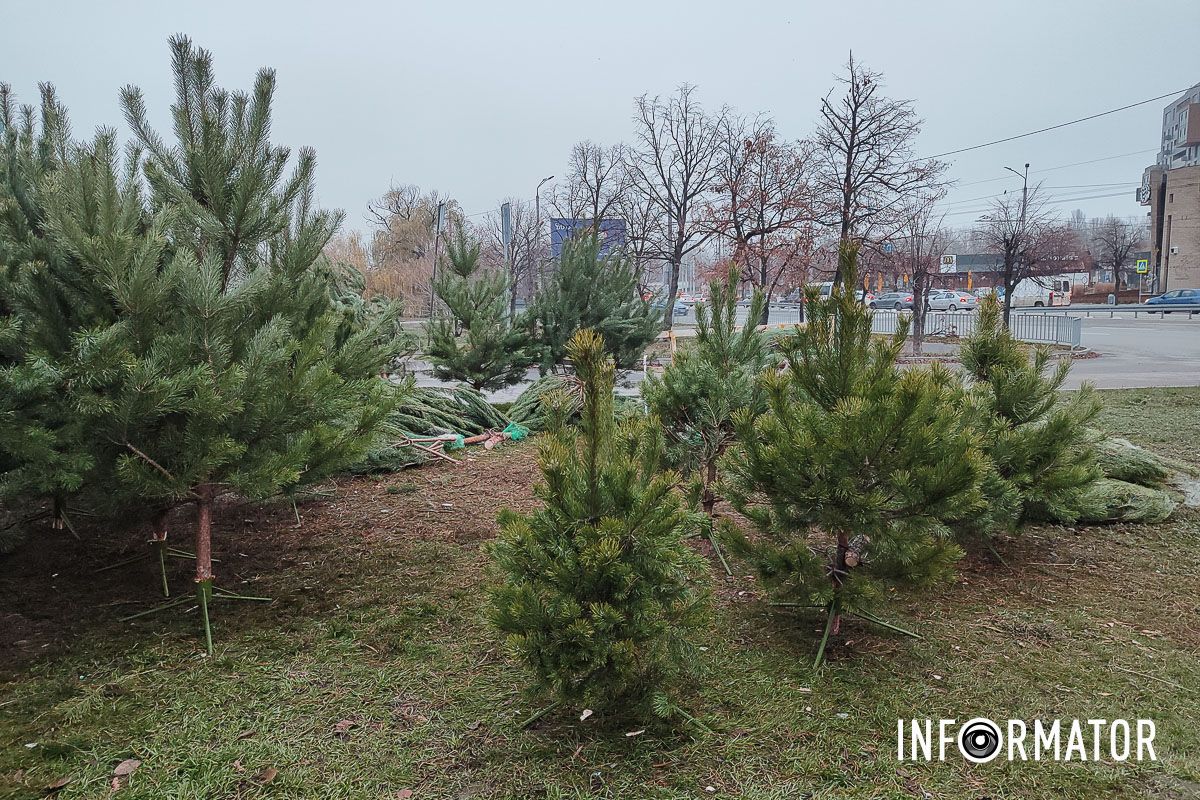 Днепр готовится встречать Новый год Днепр готовится встречать Новый год