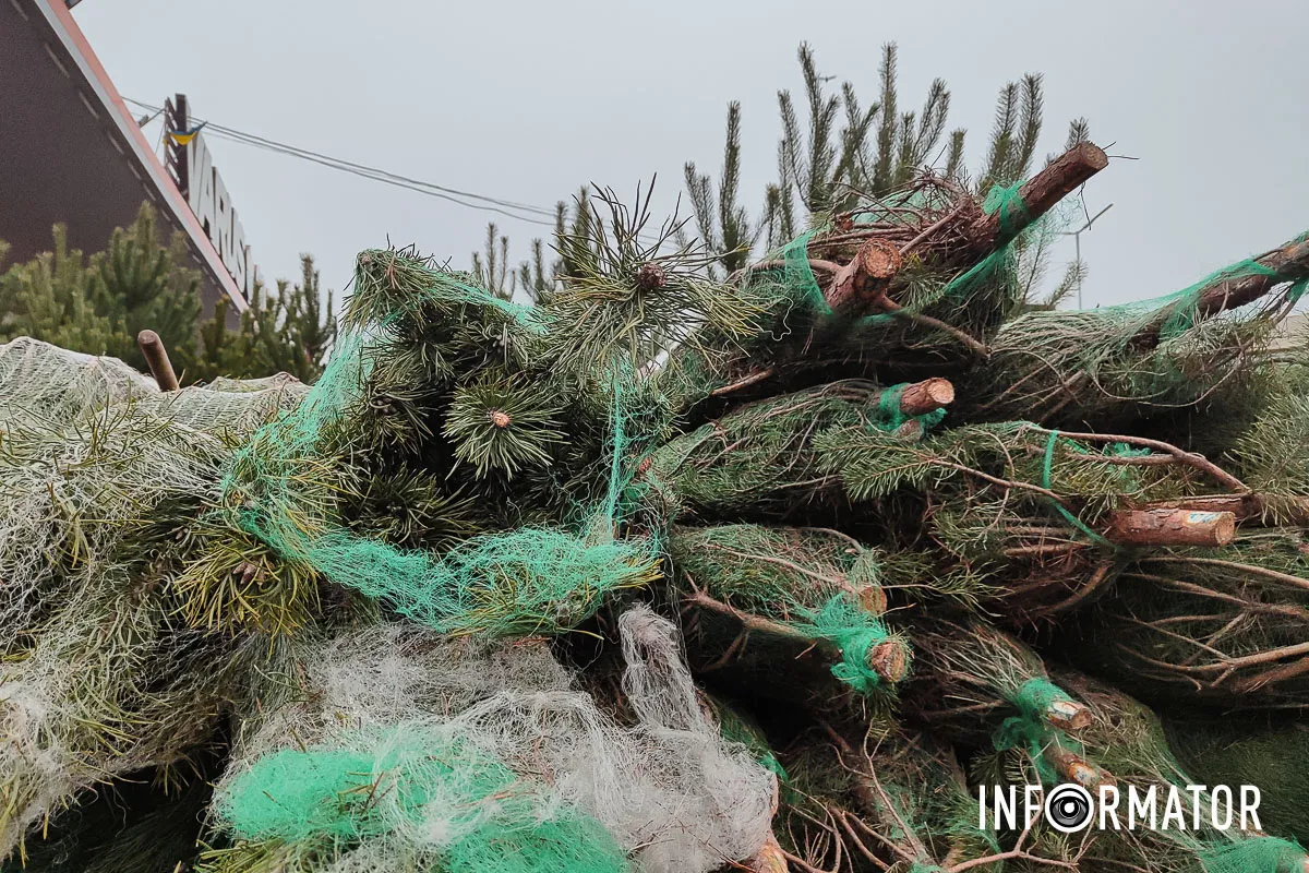 Цена за дерево может достигать 1500 гривен Цена за дерево может достигать 1500 гривен