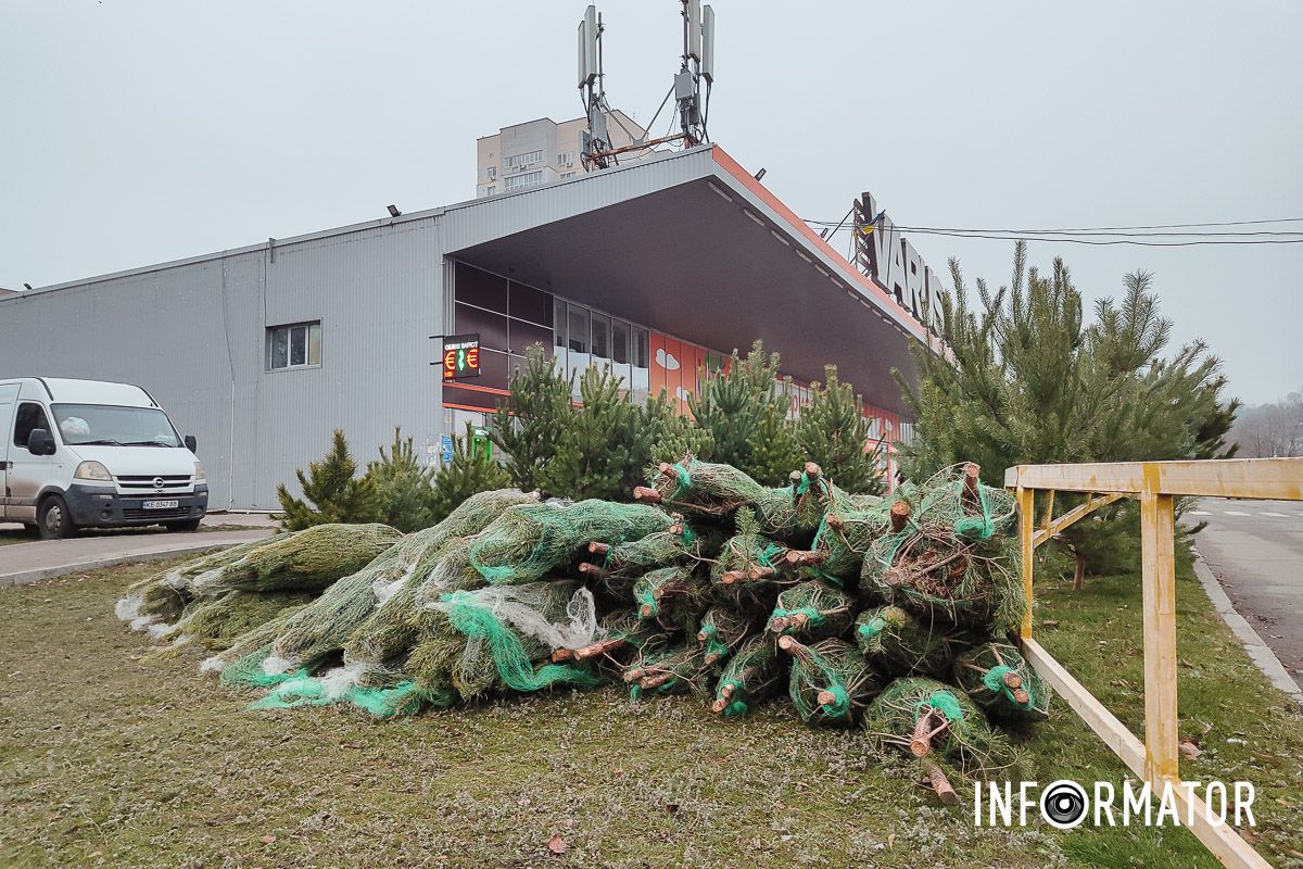 Информатор посетит другие локации по продаже елок Информатор посетит другие локации по продаже елок