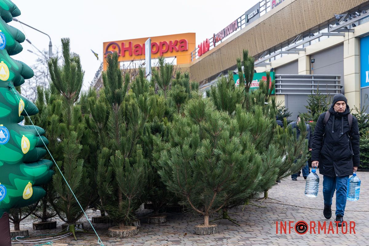 Є і по 10-12 тисяч гривень за дерево: скільки коштують новорічні ялинки на “Нагорці” та біля ТРК “Appolo” 9