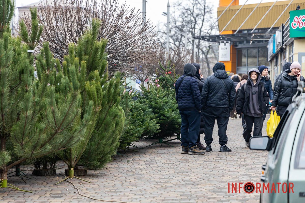Є і по 10-12 тисяч гривень за дерево: скільки коштують новорічні ялинки на “Нагорці” та біля ТРК “Appolo” 10
