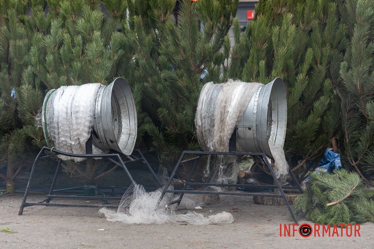 Є і по 10-12 тисяч гривень за дерево: скільки коштують новорічні ялинки на “Нагорці” та біля ТРК “Appolo” 12