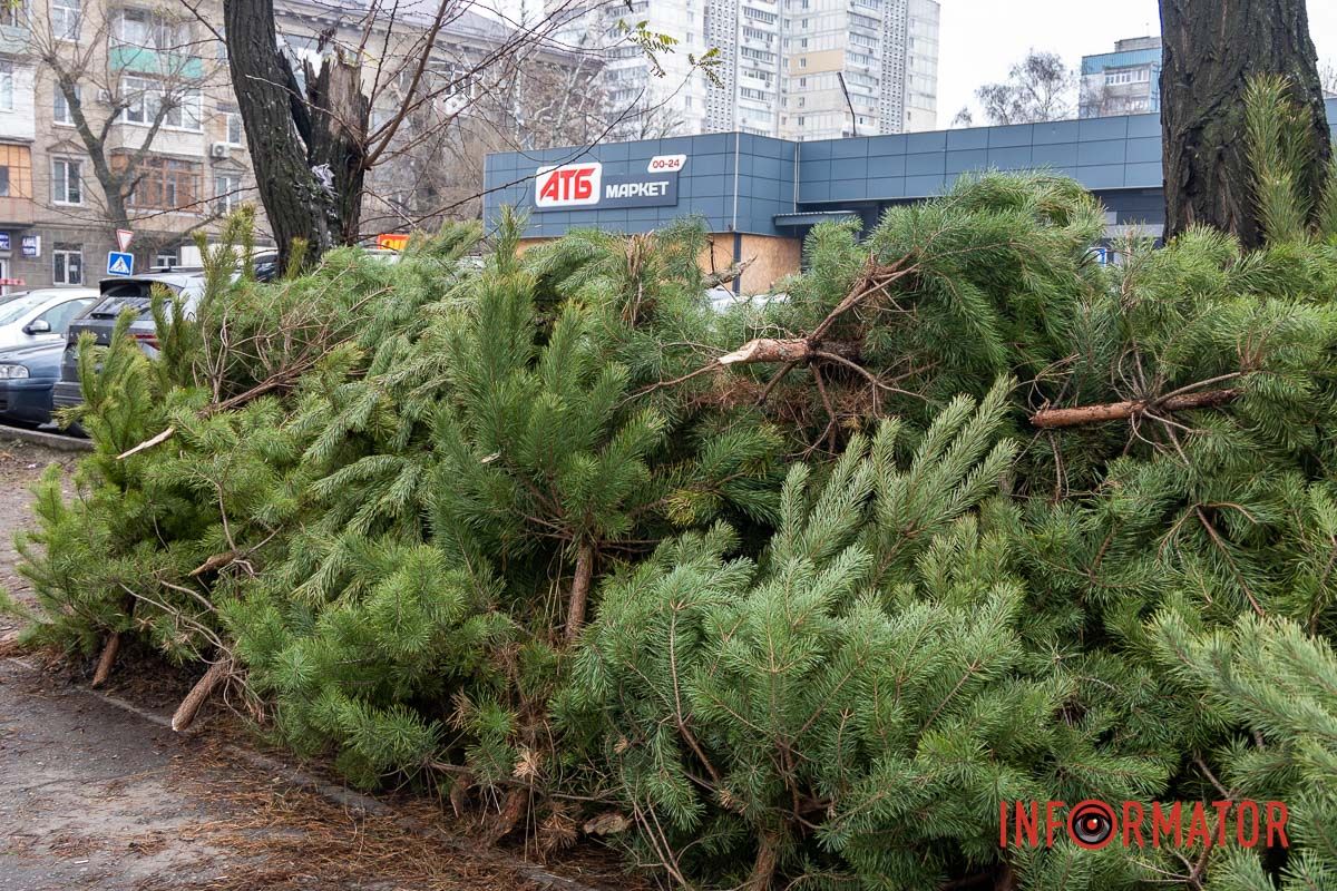 Є і по 10-12 тисяч гривень за дерево: скільки коштують новорічні ялинки на “Нагорці” та біля ТРК “Appolo” 19