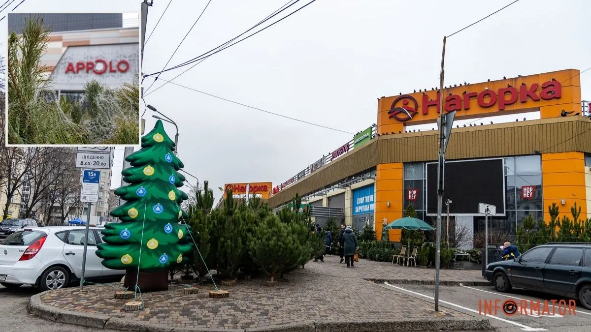 Є і по 10-12 тисяч гривень за дерево: скільки коштують новорічні ялинки на “Нагорці” та біля ТРК “Appolo”