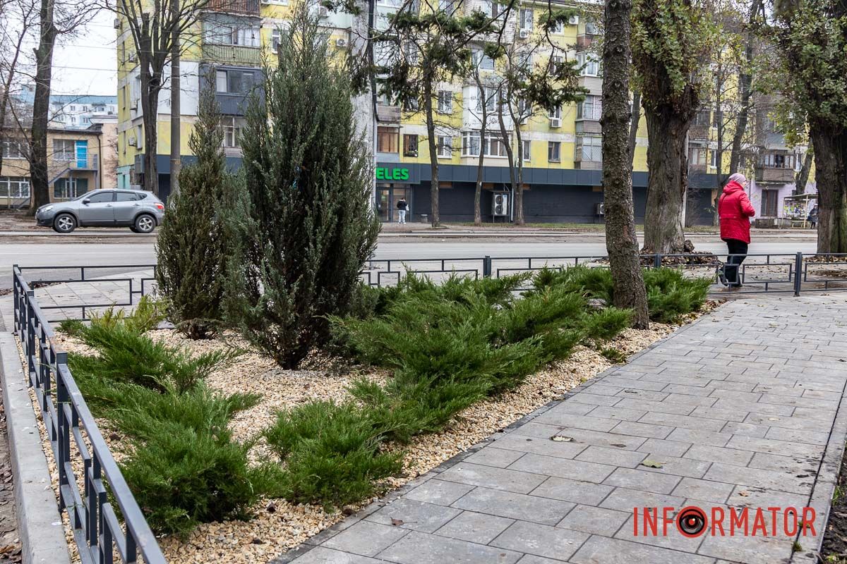 Мільйон на полив під час війни: у Дніпрі на проспекті Хмельницького облаштували сквер 1