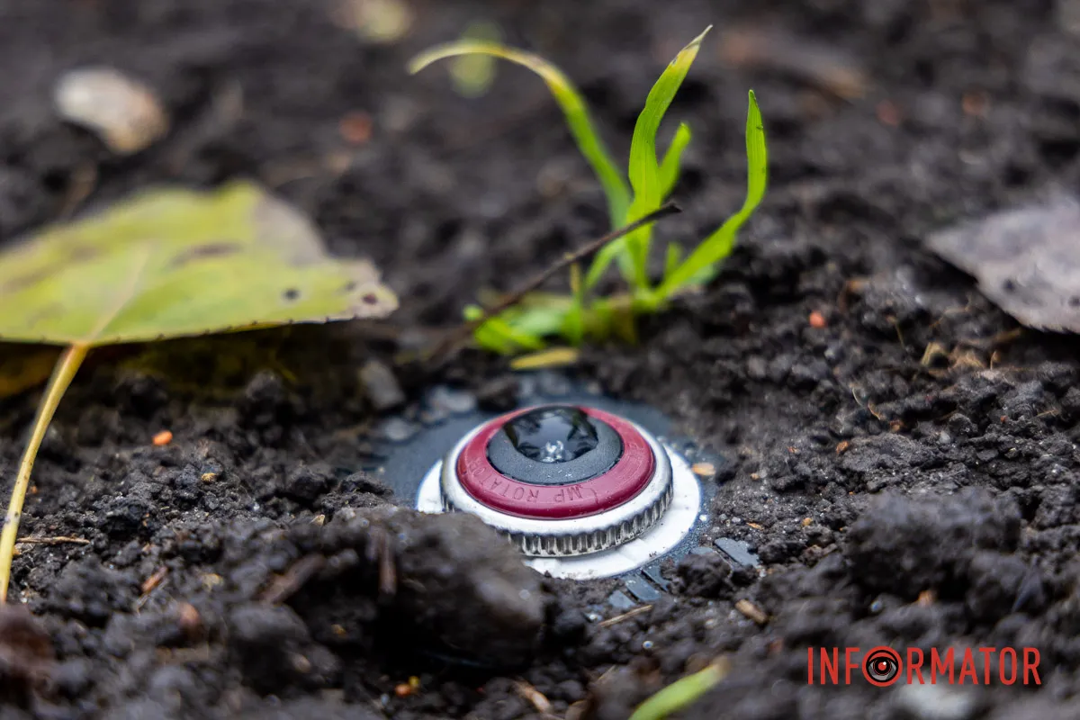 Мільйон на полив під час війни: у Дніпрі на проспекті Хмельницького облаштували сквер 11