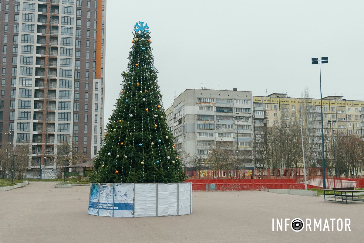 Зелена красуня одразу привернула увагу місцевих мешканців У Дніпрі в сквері Усачова встановили новорічну ялинку 2