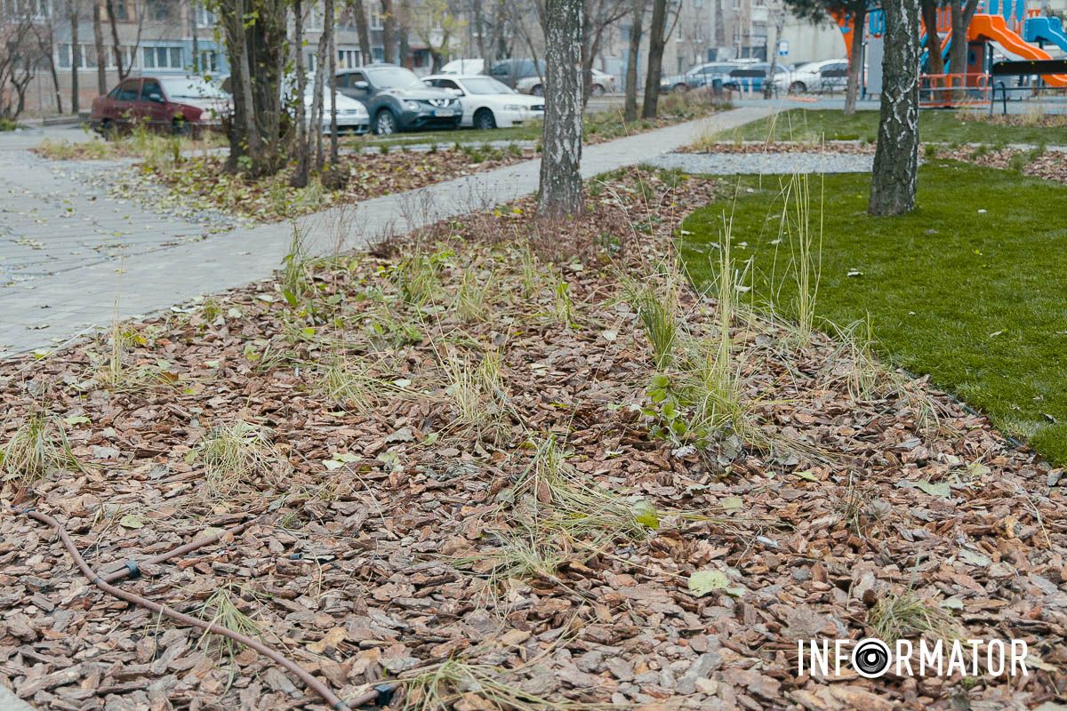У Дніпрі замість пустиря з’явилася нова зелена зона відпочинку: що там зробили 9