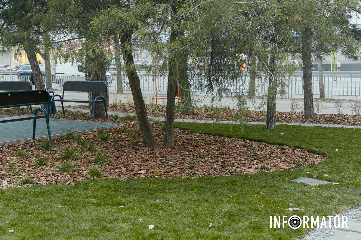 У Дніпрі замість пустиря з’явилася нова зелена зона відпочинку: що там зробили 1