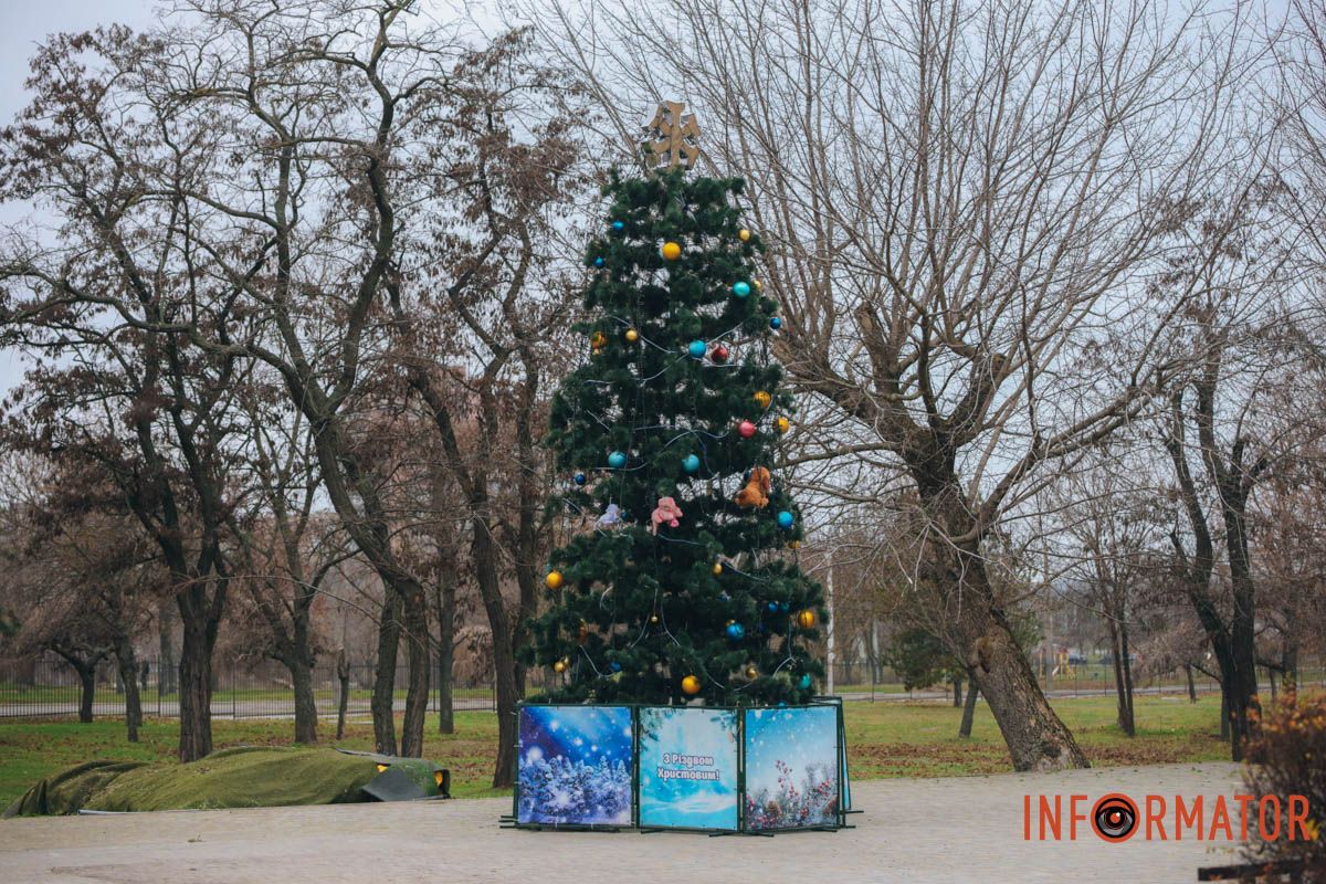 Елка сразу привлекла внимание местных жителей