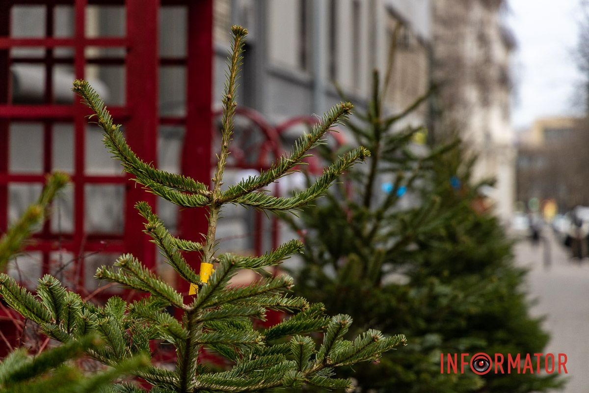 Де зробити святкові фото у Дніпрі: безкоштовні новорічні фотозони 11