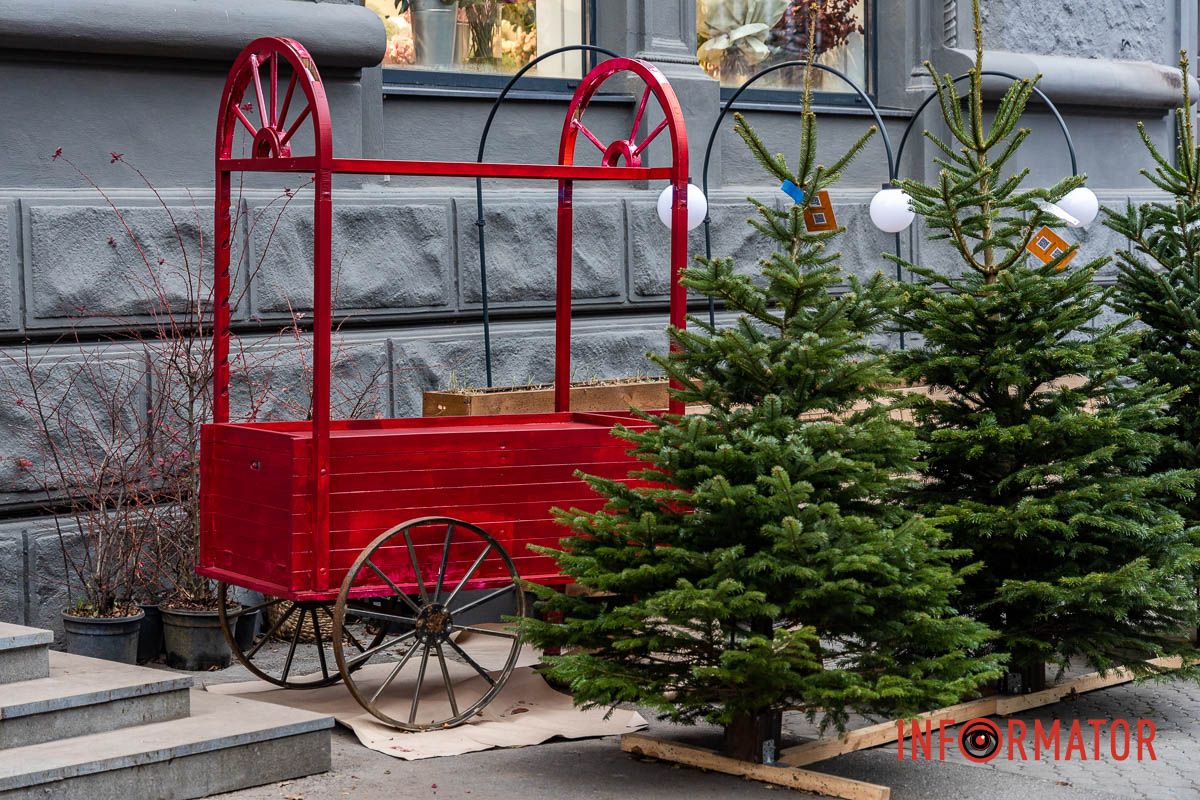 Де зробити святкові фото у Дніпрі: безкоштовні новорічні фотозони 14