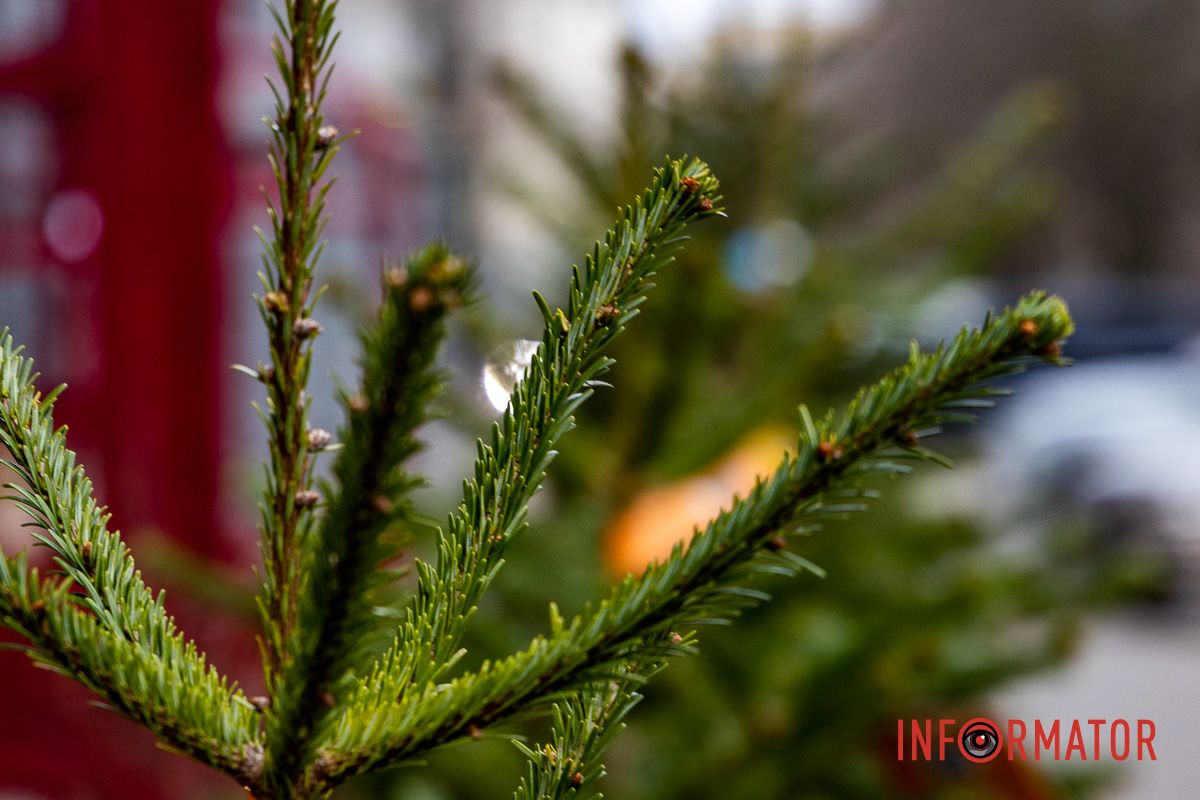 Де зробити святкові фото у Дніпрі: безкоштовні новорічні фотозони 15