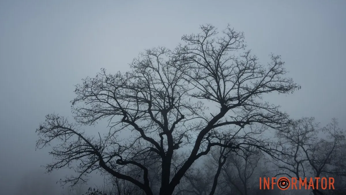 Суцільна хмарність: прогноз погоди у Дніпрі на 10 грудня