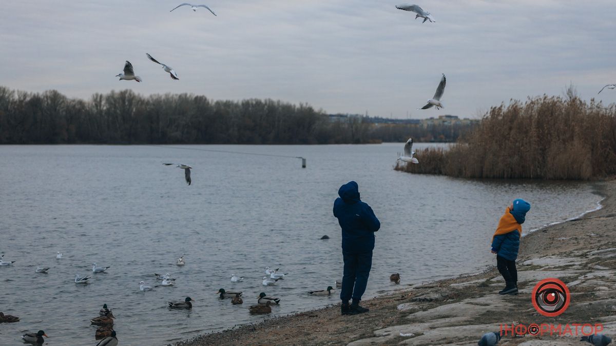 Дожди утром и ночью: прогноз погоды в Днепре на 12 декабря
