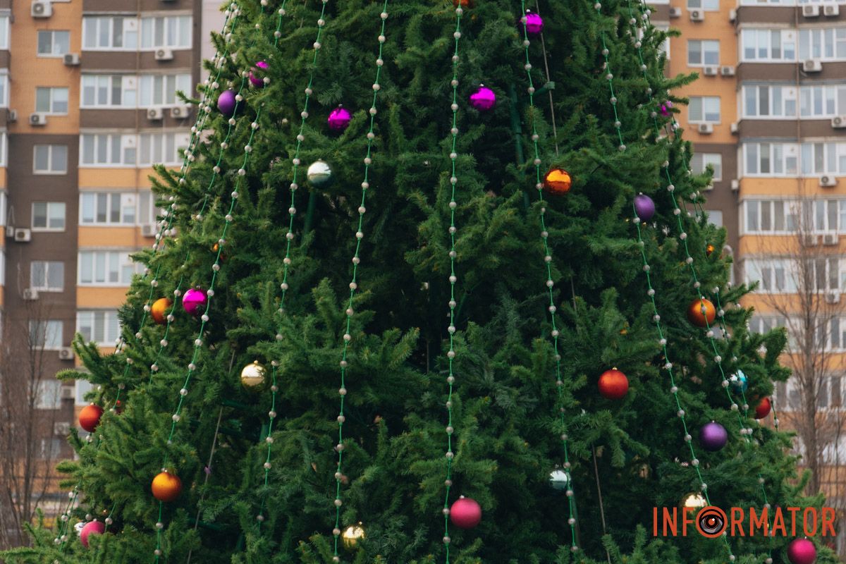 Святкові приготування стартували У Дніпрі у сквері Прибережному встановили новорічну ялинку 18