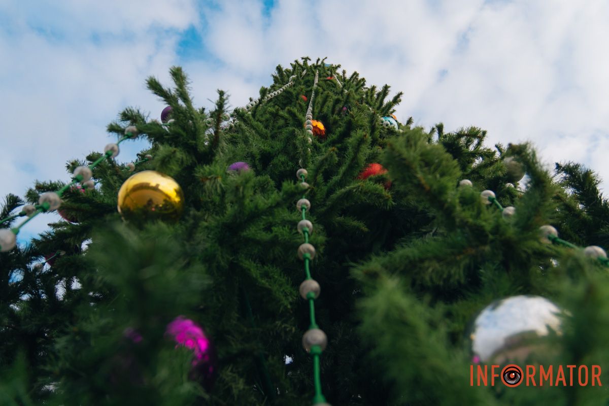 Зелений символ зимових свят У Дніпрі у сквері Прибережному встановили новорічну ялинку 12