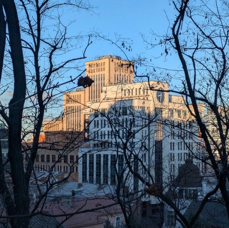 olegpetrushov olegpetrushov