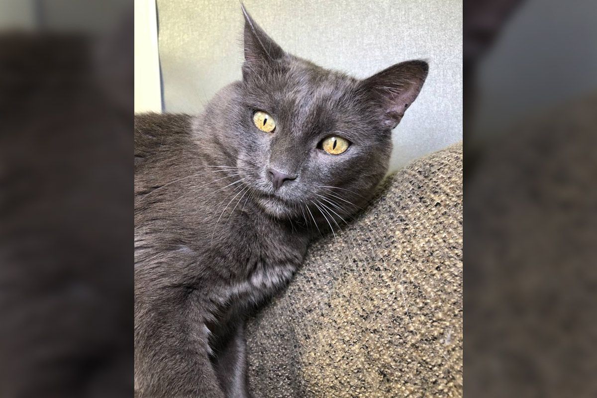 Бусинка Бусинка