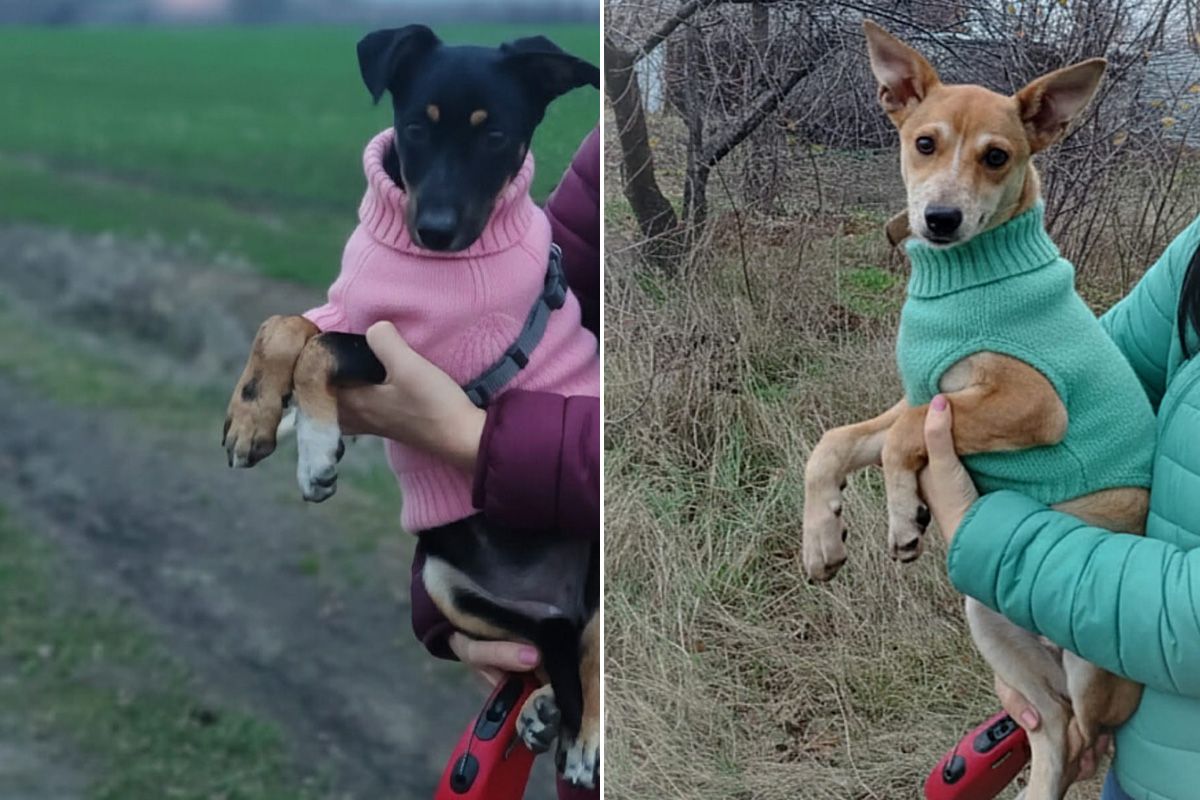 Дори и Лилу Дори и Лилу