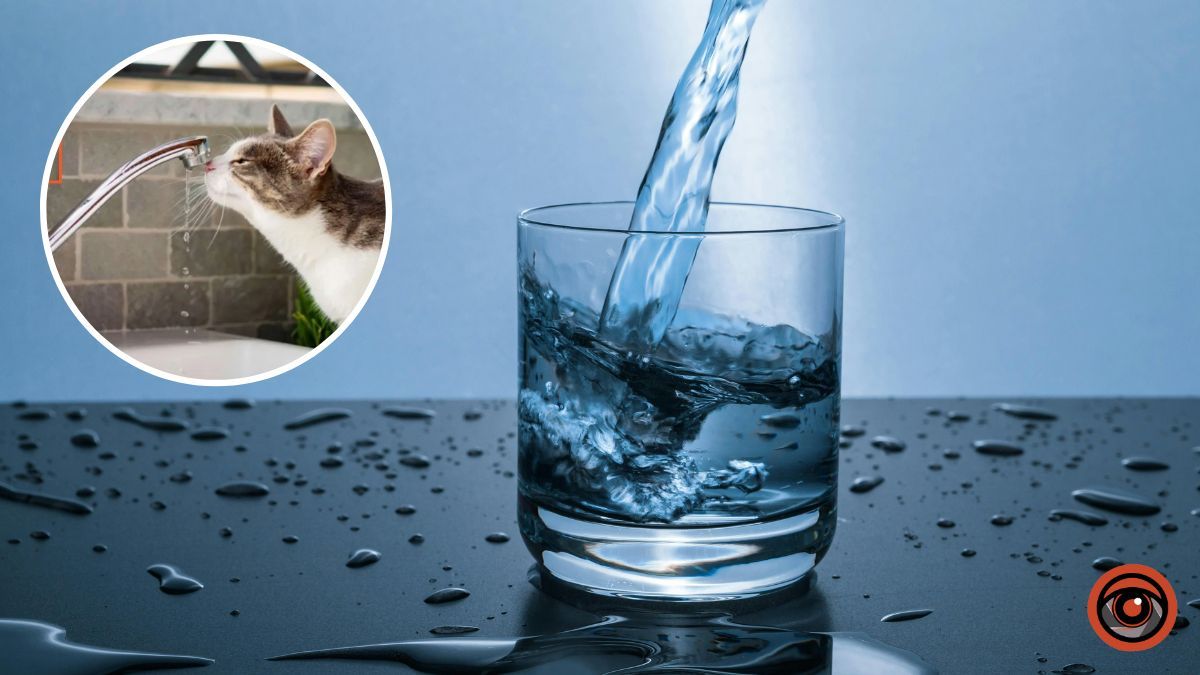 Низка вулиць у Дніпрі 14 грудня залишилась без води: перелік адрес