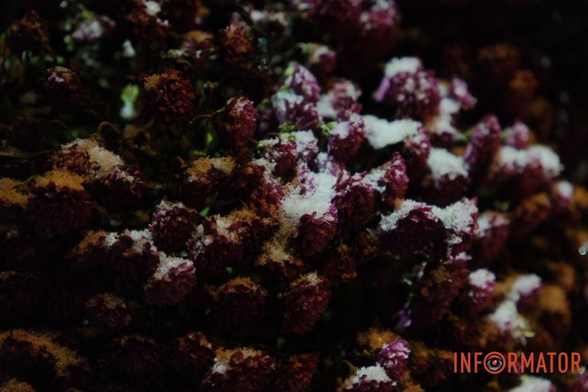 Подробности Подробности