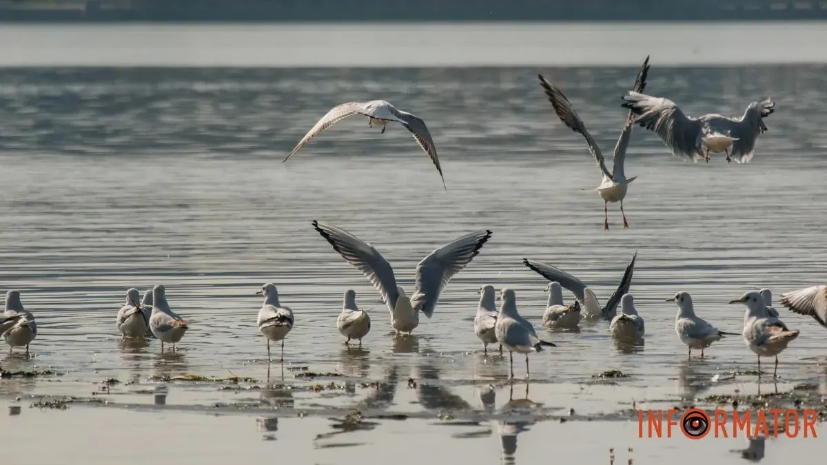 Погода на 16 декабря: в Днепре днем будет облачно