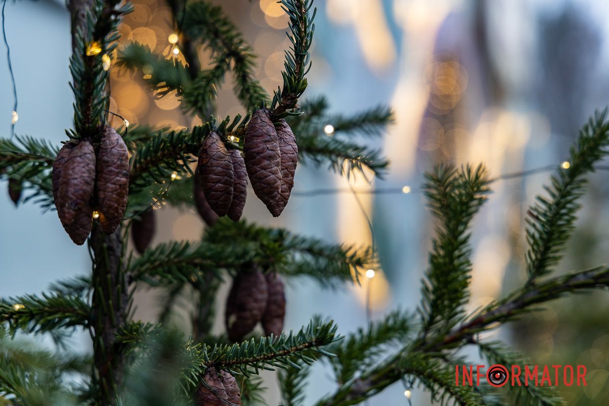 Новый год уже скоро Где в Днепре найти интересные фотозоны с Рождественскими и Новогодними мотивами 4
