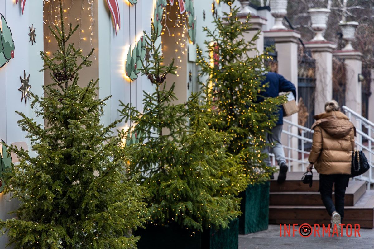 Рядом стоят елки и иллюминация Где в Днепре найти интересные фотозоны с Рождественскими и Новогодними мотивами 6