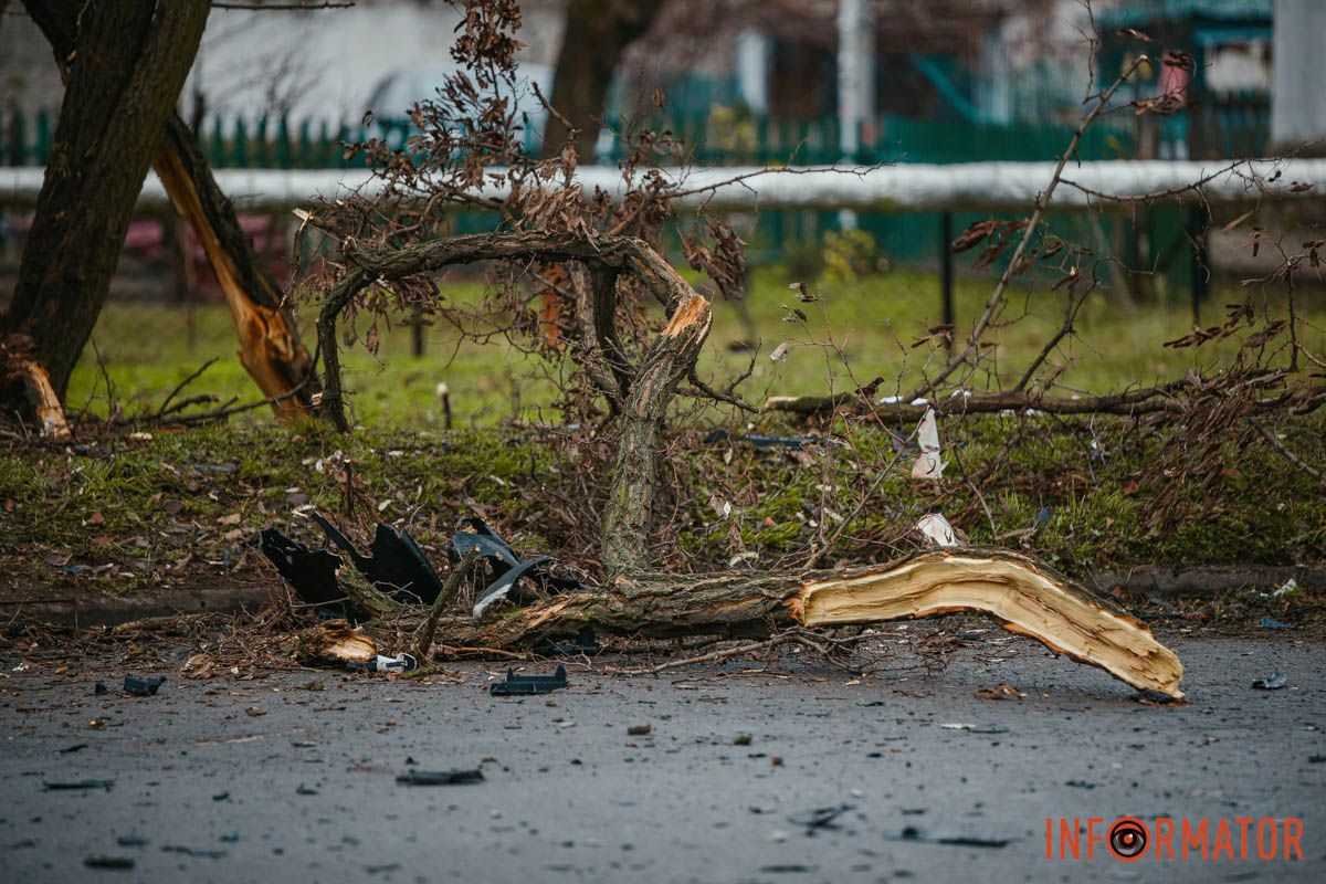 Відломані гілки дерева У Дніпрі біля ж/м Північний, на вулиці Добробатів, зіткнулися BYD та Skoda: остання влетіла у дерево, є постраждалі 18