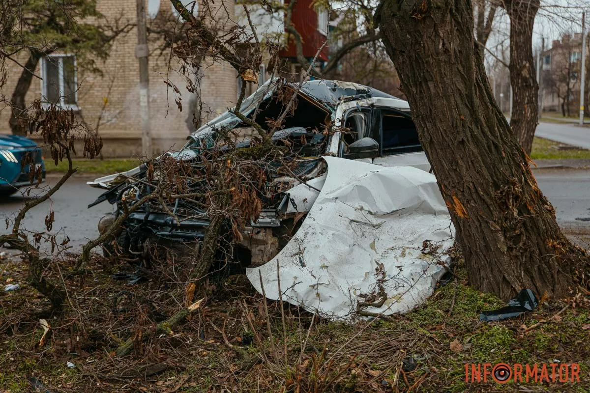 Гілки попадали на автівку У Дніпрі біля ж/м Північний, на вулиці Добробатів, зіткнулися BYD та Skoda: остання влетіла у дерево, є постраждалі 26