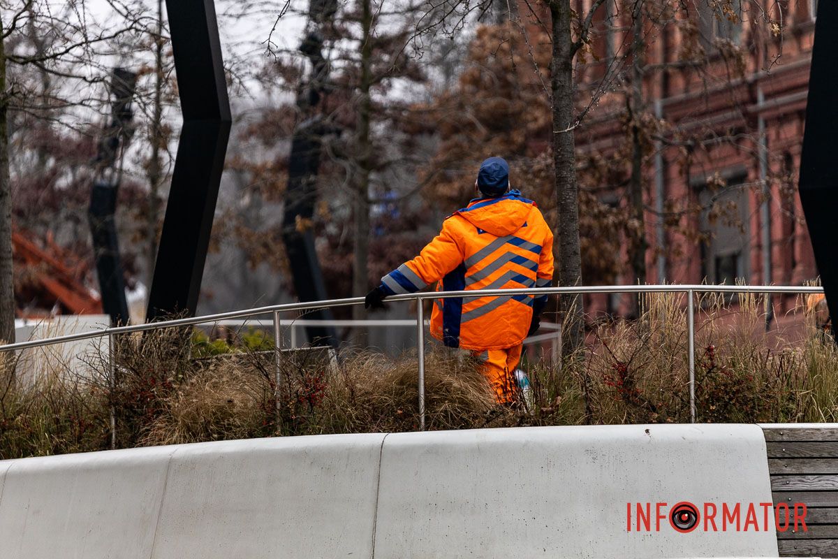 У центрі Дніпра дерева прикрашають гірляндами 2