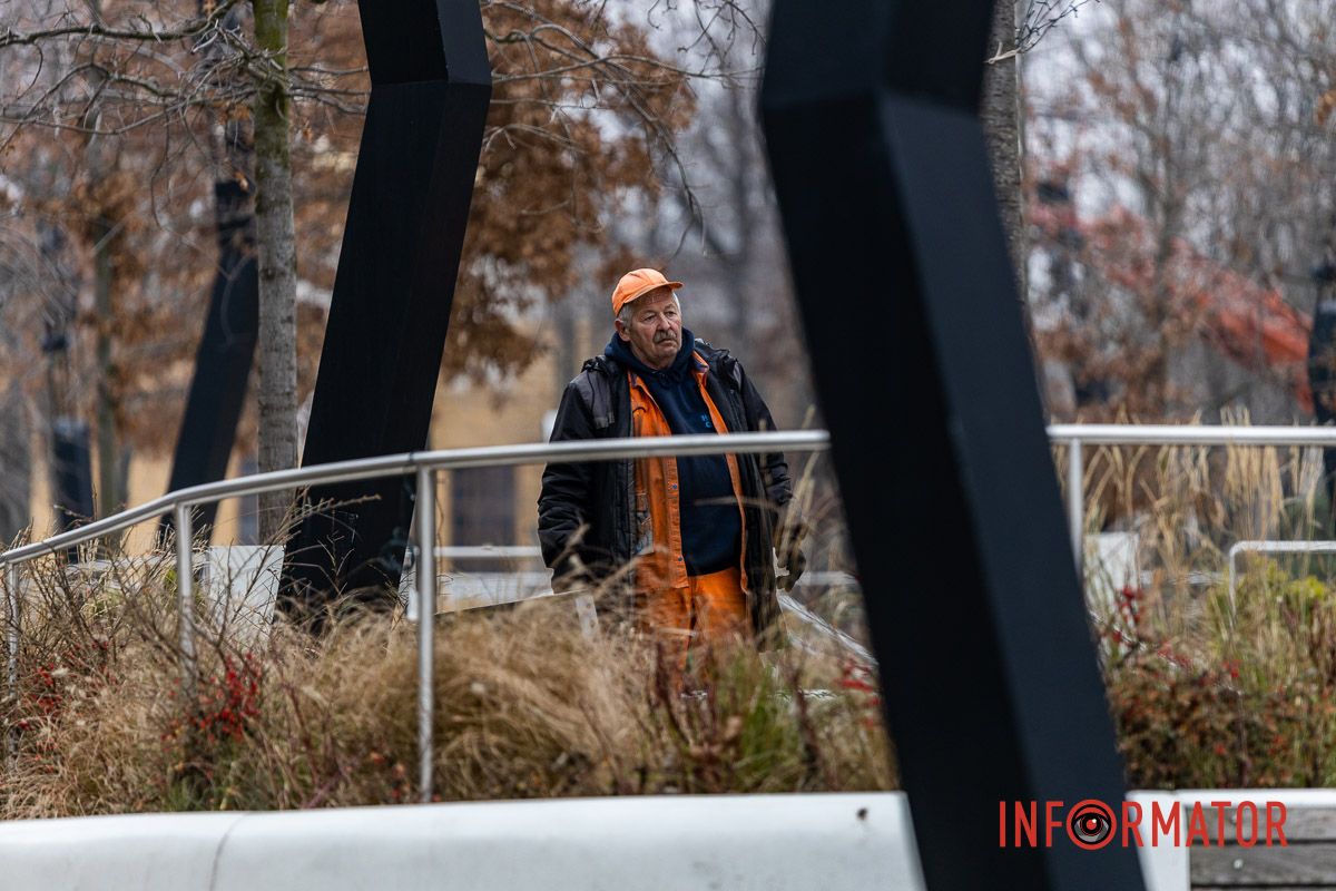 У центрі Дніпра дерева прикрашають гірляндами 3