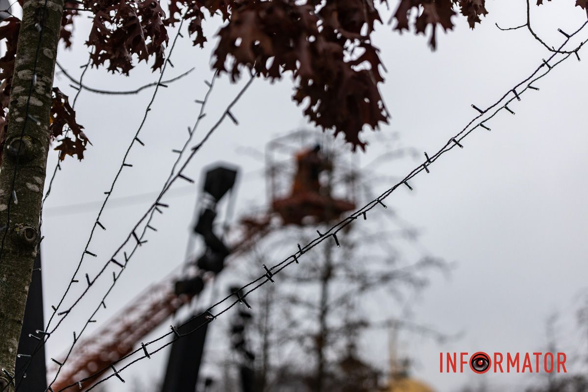 У центрі Дніпра дерева прикрашають гірляндами 6