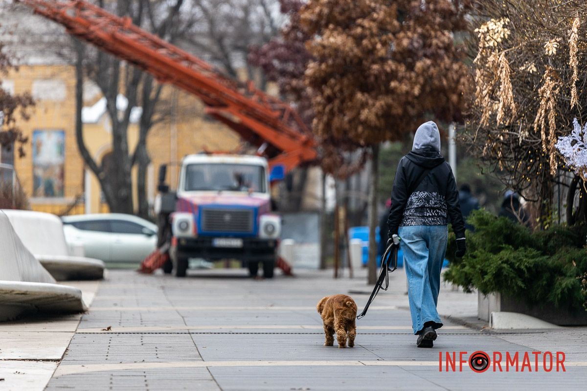 У центрі Дніпра дерева прикрашають гірляндами 7