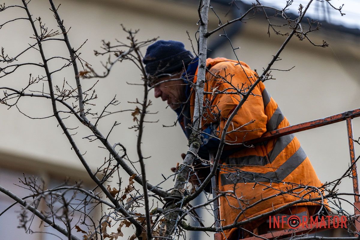 У центрі Дніпра дерева прикрашають гірляндами 9